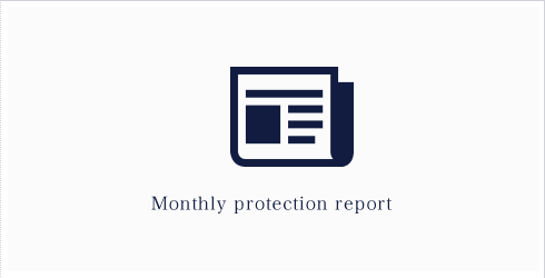 Monthly protection report